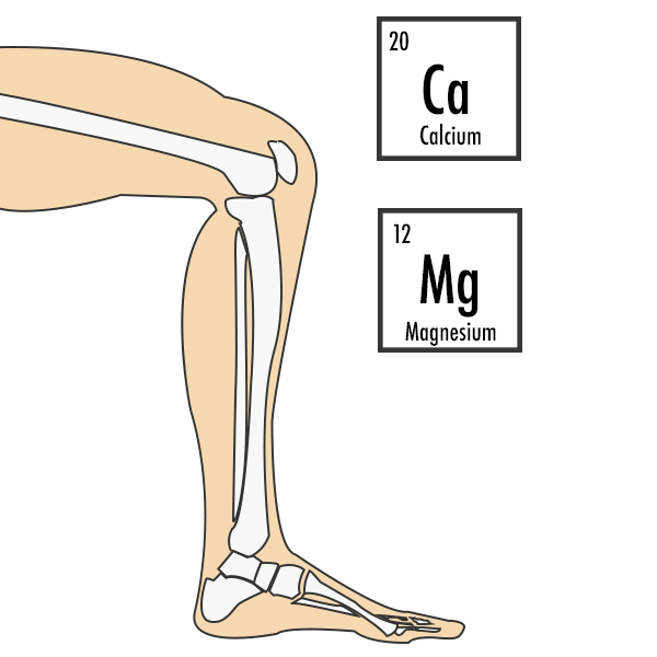 FOS improves Calcium Magnesium absorption