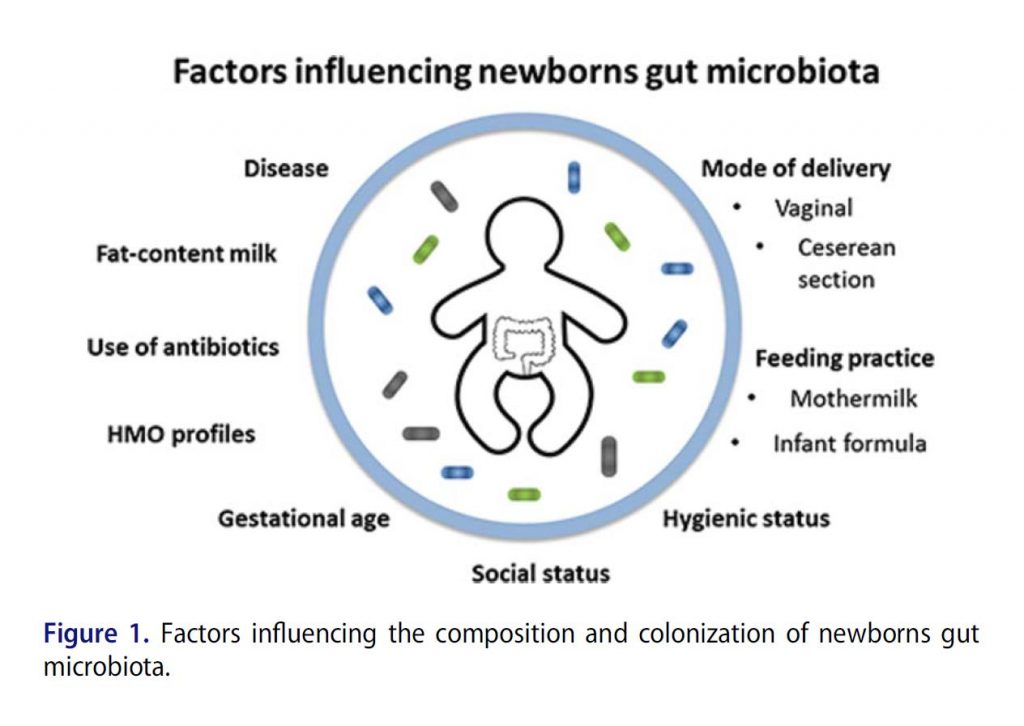 Factors influencing newborns gut microbiota – Yacon New Zealand