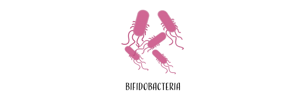 GoodBacteria