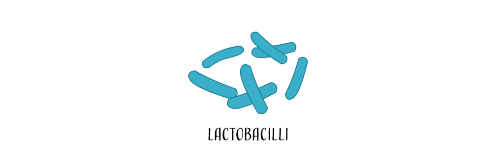 GoodBacteria