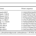 Table 1. Primer used for real-time RT-PCR
