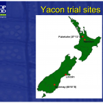 Plant & Food Research Yacon trial sites in New Zealand