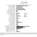 B-fructofuranosidase activity detected in permeabilized cells of 21 Bifidobacterium pure cultures during the growth phase on glucose FOS and inulin as the sole carbon source