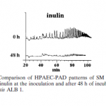 Comparison of HPAEC-PAD patterns of SM containing 10 g liter -1 inulin at the inoculation and after 48 h of incubation with B. adolescentis ALB1