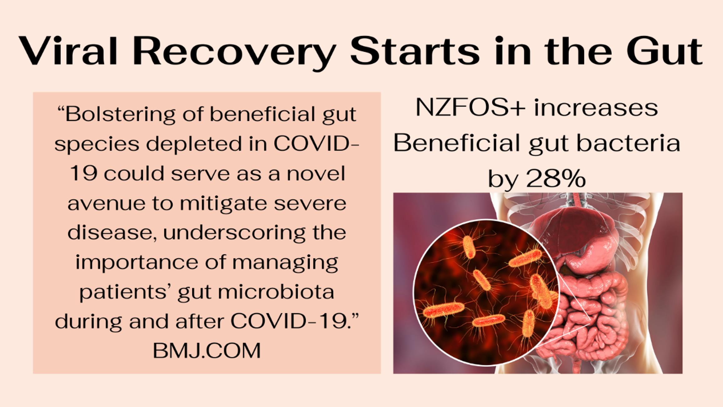 Viral Recovery starts in the gut